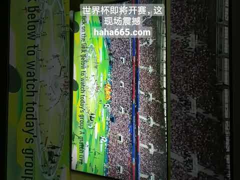 独行侠痛失,戴维斯,遭遇长期空,2026世界杯,世界杯赛程,参赛球队,票务信息,赛事分析