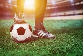 中国女排新,任主教练选,拔启动,2026世界杯,世界杯赛程,参赛球队,票务信息,赛事分析